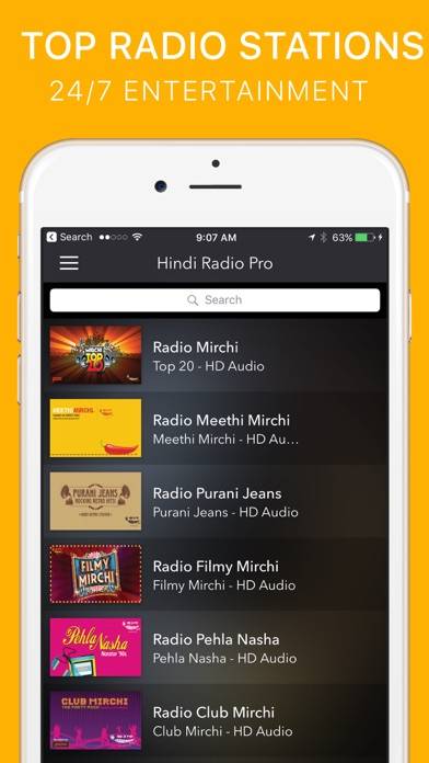Hindi Radio Pro Capture d'écran de l'application #1