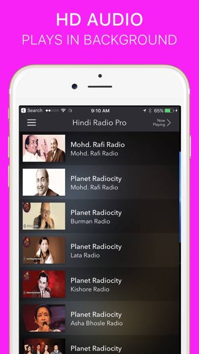 Hindi Radio Pro Capture d'écran de l'application #5