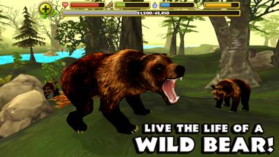 Wildlife Simulator: Bear skärmdump