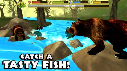 Wildlife Simulator: Bear screenshot