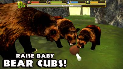 Wildlife Simulator: Bear App skärmdump #3