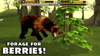 Wildlife Simulator: Bear App skärmdump #5