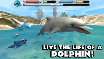 Dolphin Simulator App skärmdump #1