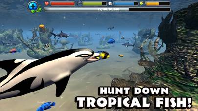 Dolphin Simulator App screenshot #4