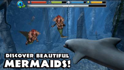 Dolphin Simulator App screenshot #5