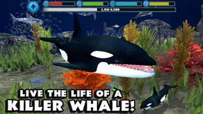 Orca Simulator App skärmdump #1