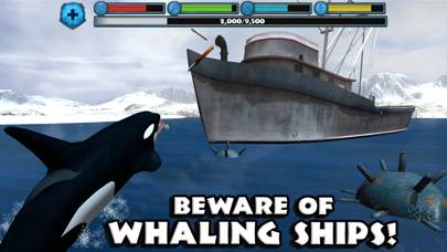 Orca Simulator App skärmdump #2