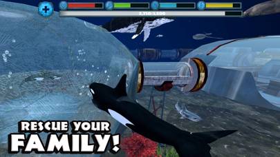 Orca Simulator App skärmdump #4