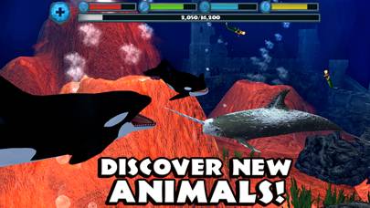 Orca Simulator App skärmdump #5