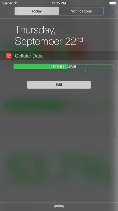 Data Widget Captura de pantalla de la aplicación #3