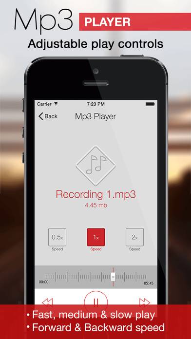 Mp3 Recorder Pro: Notes,Memos Captura de pantalla de la aplicación #3