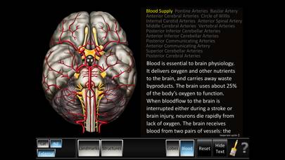 Cerebrum ID Captura de pantalla de la aplicación