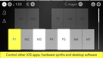 Navichord • chord sequencer Capture d'écran de l'application #6