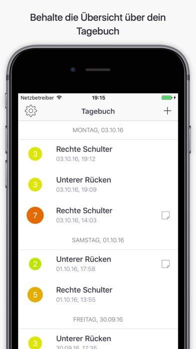 Schmerztagebuch – Ake Bildschirmfoto
