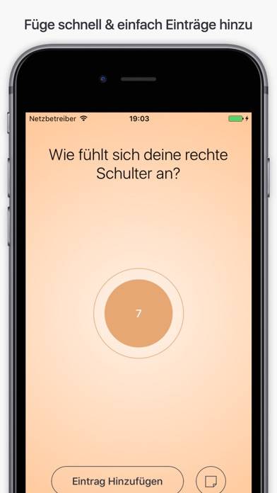 Schmerztagebuch – Ake App-Screenshot