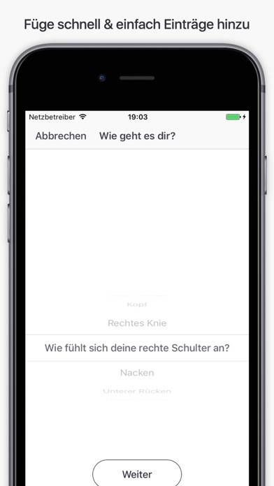 Schmerztagebuch – Ake App-Screenshot