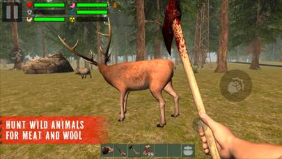 The Survivor: Rusty Forest скриншот игры