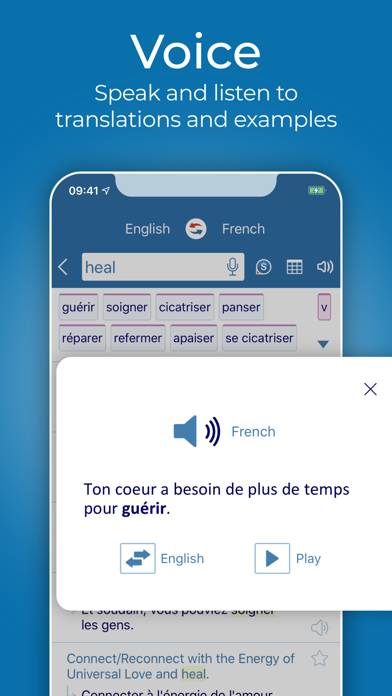 Reverso translate and learn App screenshot #4