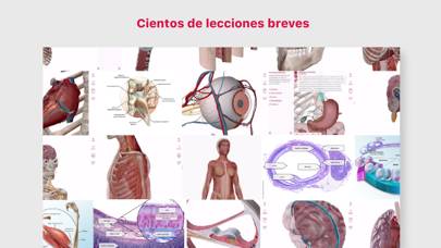 Anatomy & Physiology Schermata dell'app #2