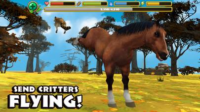 Wild Horse Simulator skärmdump av spelet