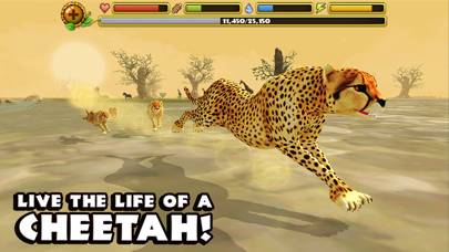 Cheetah Simulator Capture d'écran de l'application #1