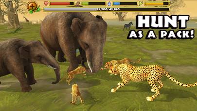 Cheetah Simulator Schermata dell'app #2