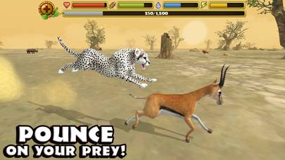 Cheetah Simulator Schermata dell'app #3