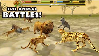 Cheetah Simulator Capture d'écran de l'application #5