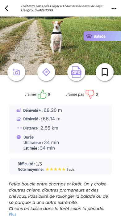 PlayDogs: Walk your dog Capture d'écran de l'application #4