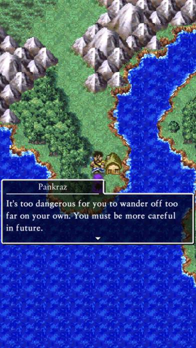 Dragon Quest V Capture d'écran de l'application #2