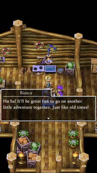 Dragon Quest V Schermata dell'app #3