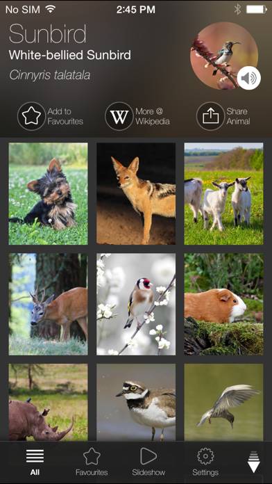 Animal Explorer: Sounds and Photos Captura de pantalla de la aplicación #1