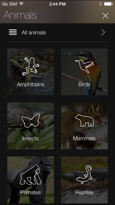 Animal Explorer: Sounds and Photos Captura de pantalla de la aplicación #2