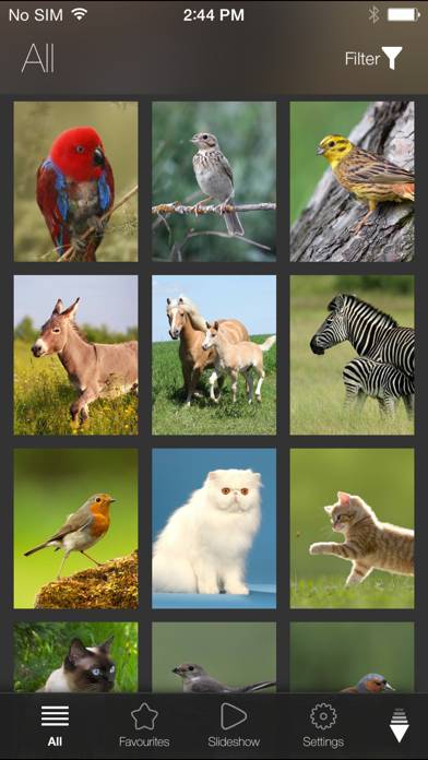 Animal Explorer: Sounds and Photos Captura de pantalla de la aplicación #4
