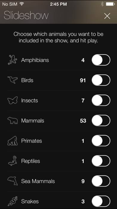 Animal Explorer: Sounds and Photos Captura de pantalla de la aplicación #5