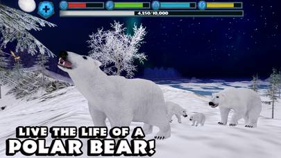 Polar Bear Simulator App screenshot #1