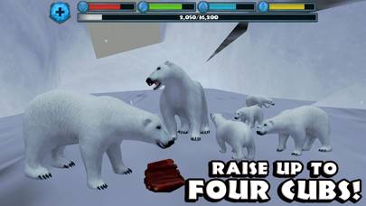 Polar Bear Simulator App-Screenshot #5