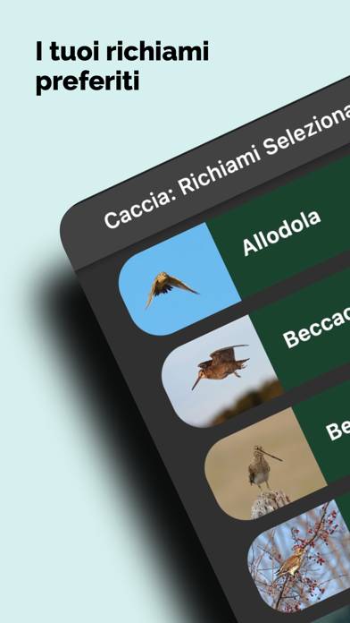 Caccia: Richiami Selezionati Schermata dell'app