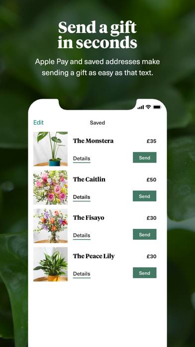 Bloom & Wild App-Screenshot #4
