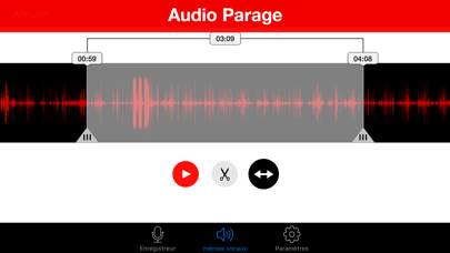 Voice Recorder : Record Audio App skärmdump #4
