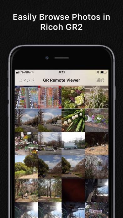GR Remote Viewer for GR2 & GR3 Schermata dell'app #1