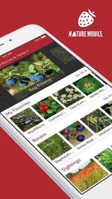 Wild Berries and Herbs 2 PRO App screenshot #1