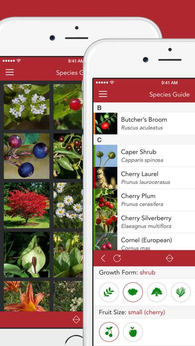 Wild Berries and Herbs 2 PRO App screenshot #2