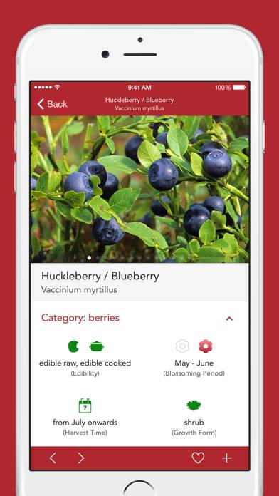Wild Berries and Herbs 2 PRO Capture d'écran de l'application #3