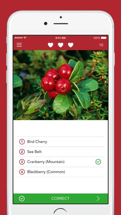 Wild Berries and Herbs 2 PRO App screenshot #4