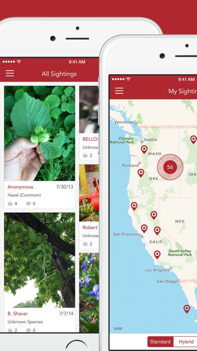 Wild Berries and Herbs 2 PRO App screenshot #5