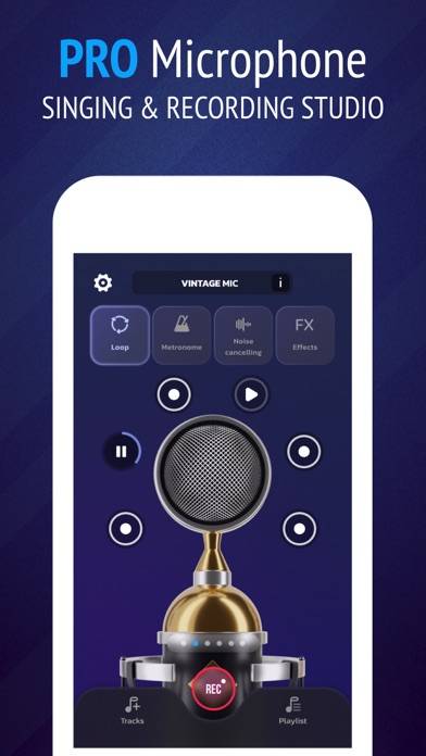 Pro Microphone: Voice Record Скриншот приложения #1
