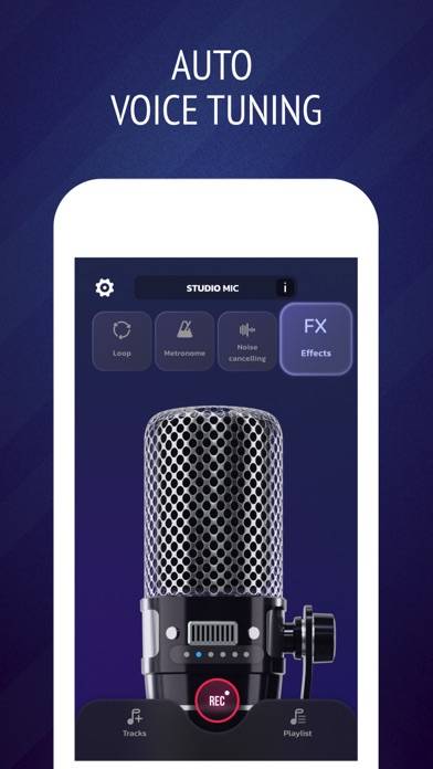 Pro Microphone: Voice Record Schermata dell'app #3