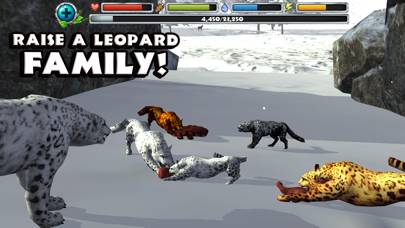 Snow Leopard Simulator Captura de pantalla de la aplicación #5