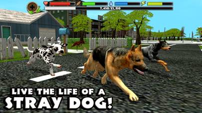 Stray Dog Simulator Captura de pantalla de la aplicación #1